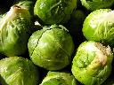 Brussels Sprouts