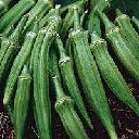 Okra