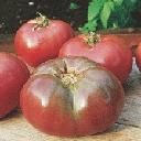 Tomato - Cherokee Purple